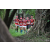 Team 130 / Raid Amazones Cambodge - J1 : Trek